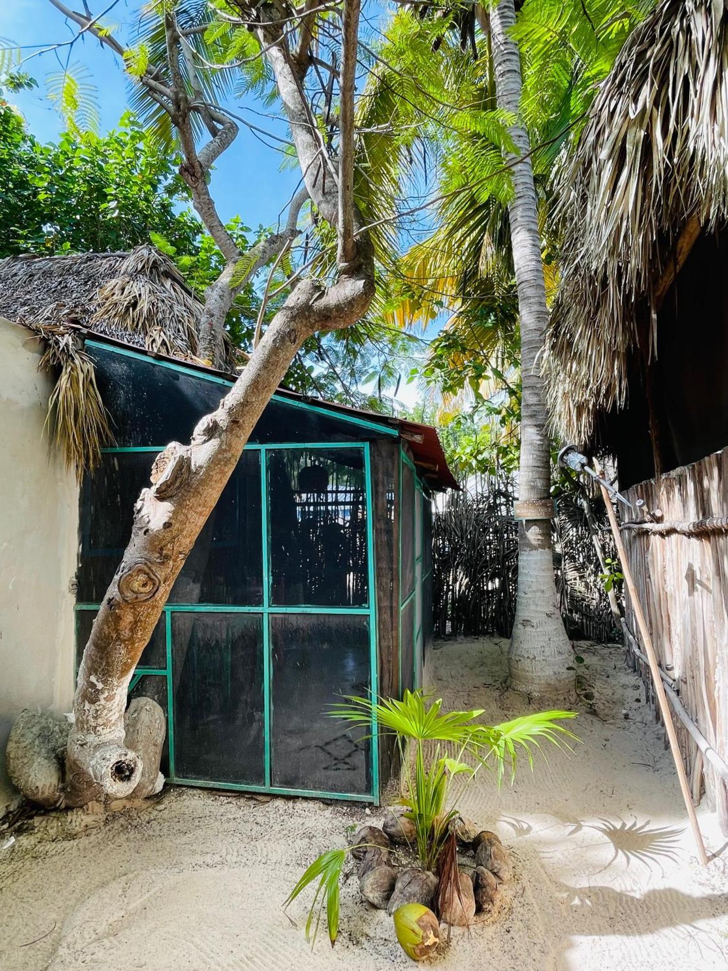 Casa Jade Ecobungalows Las coloradas Yuluc Habitación foto